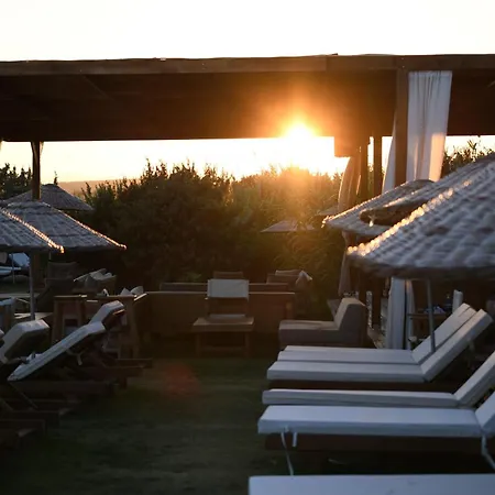 Hotel Zaya Hotel&beach Çeşme