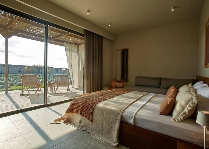 Zaya & Hotel Çeşme